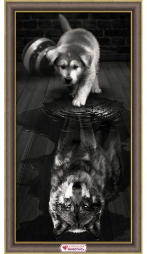 Gyémántfestés szett, kutya vagy farkas, 30x60cm