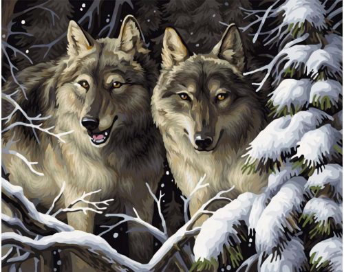 Festés számok szerint, farkasok, 40x50cm