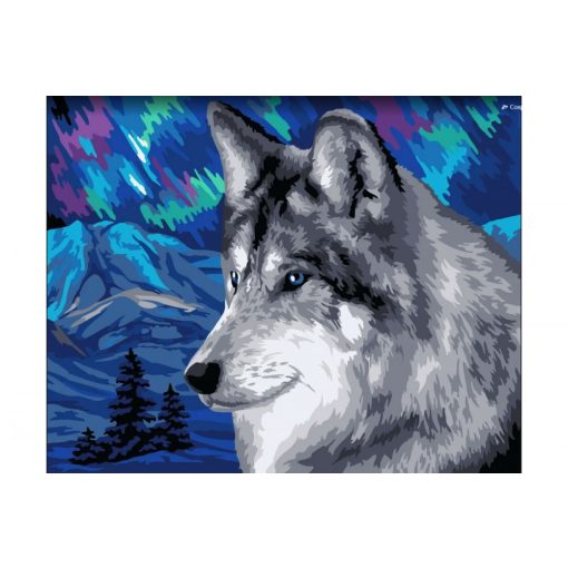 Festés számok szerint, sarki farkas, 40x50cm