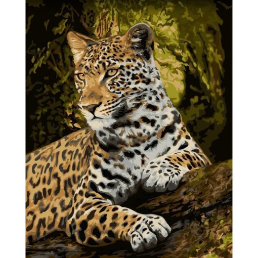 Festés számok szerint, leopárd, 40x50cm