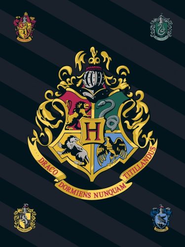 Harry Potter takaró 100x140 cm, fekete, címeres