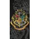 Harry Potter törölköző 70x140cm, fekete, Roxfort