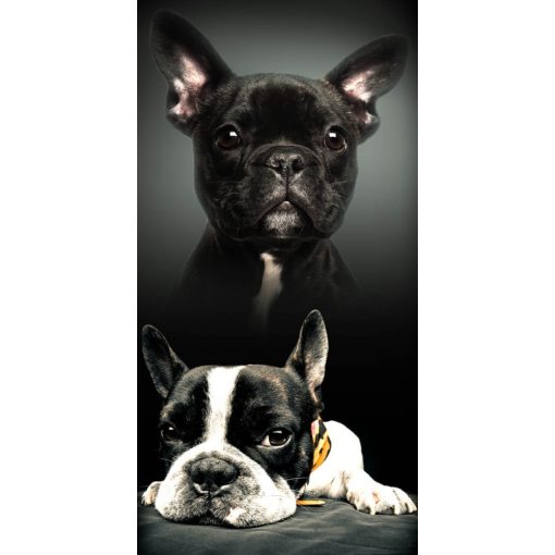 Kutyás törölköző 70x140 cm, Francia Bulldog