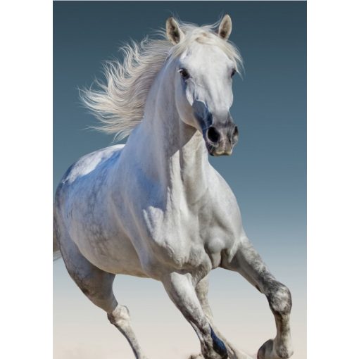 Lovas takaró 100x140 cm, szürke lóval