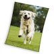Kutyás Happytail Retriever coral fleece polár takaró 150x200cm