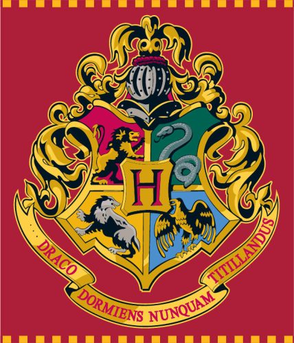 Harry Potter plüss takaró 120x150 cm