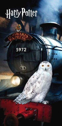 Harry Potter Hedwig fürdőlepedő, törölköző 70x140cm