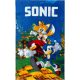 Sonic, a sündisznó Speedy kéztörlő, arctörlő, törölköző 30x50 cm