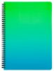 Spirál füzet A/4, vonalas, 60 lapos, műanyag borítóval, OMBRE, zöld-kék