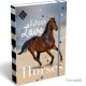 Lovas füzetbox A/5, Wild Beauty Love, barna ló
