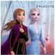 Frozen II Jégvarázs szalvéta 16 db-os