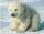 Pixel szett 1 normál alaplappal, színekkel, jegesmedve (801036)