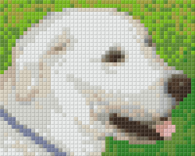 Pixel szett 1 normál alaplappal, színekkel, kutya, labrador (801303)