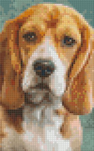 Pixel szett 2 normál alaplappal, színekkel, kutya, basset hound (802092)