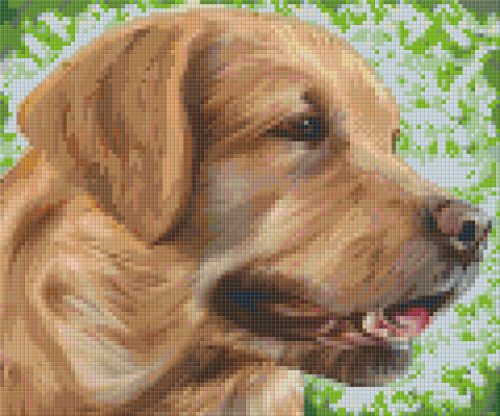Pixel szett 6 normál alaplappal, színekkel, kutya, retriever (806157)
