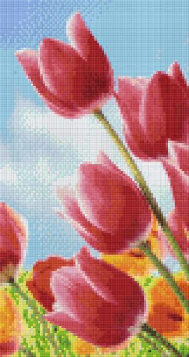 Pixel szett 6 normál alaplappal, színekkel, tulipánok a réten (806168)