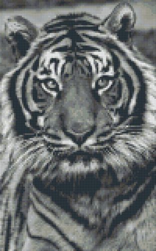 Pixel szett 8 normál alaplappal, színekkel, tigris (808086)