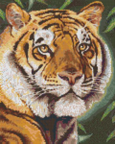 Pixel szett 9 normál alaplappal, színekkel, tigris (809377)