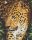 Pixel szett 16 normál alaplappal, színekkel, leopárd (816187)